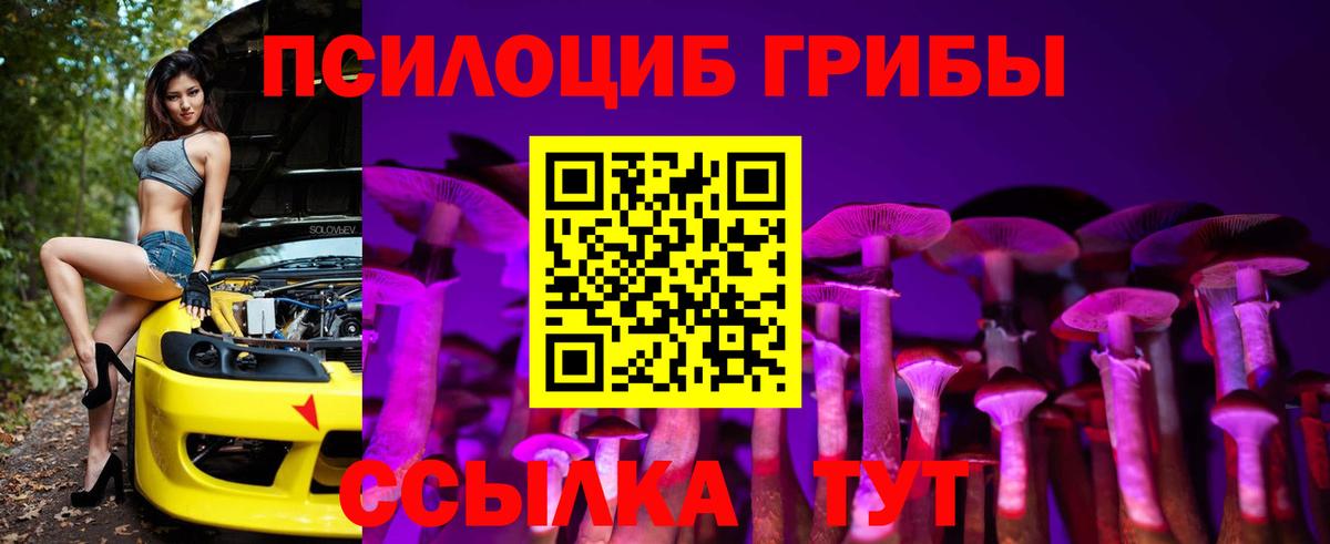 купить наркоту  Галлюциногенные грибы Magic Shrooms  Вход с VPN  Семёнов 